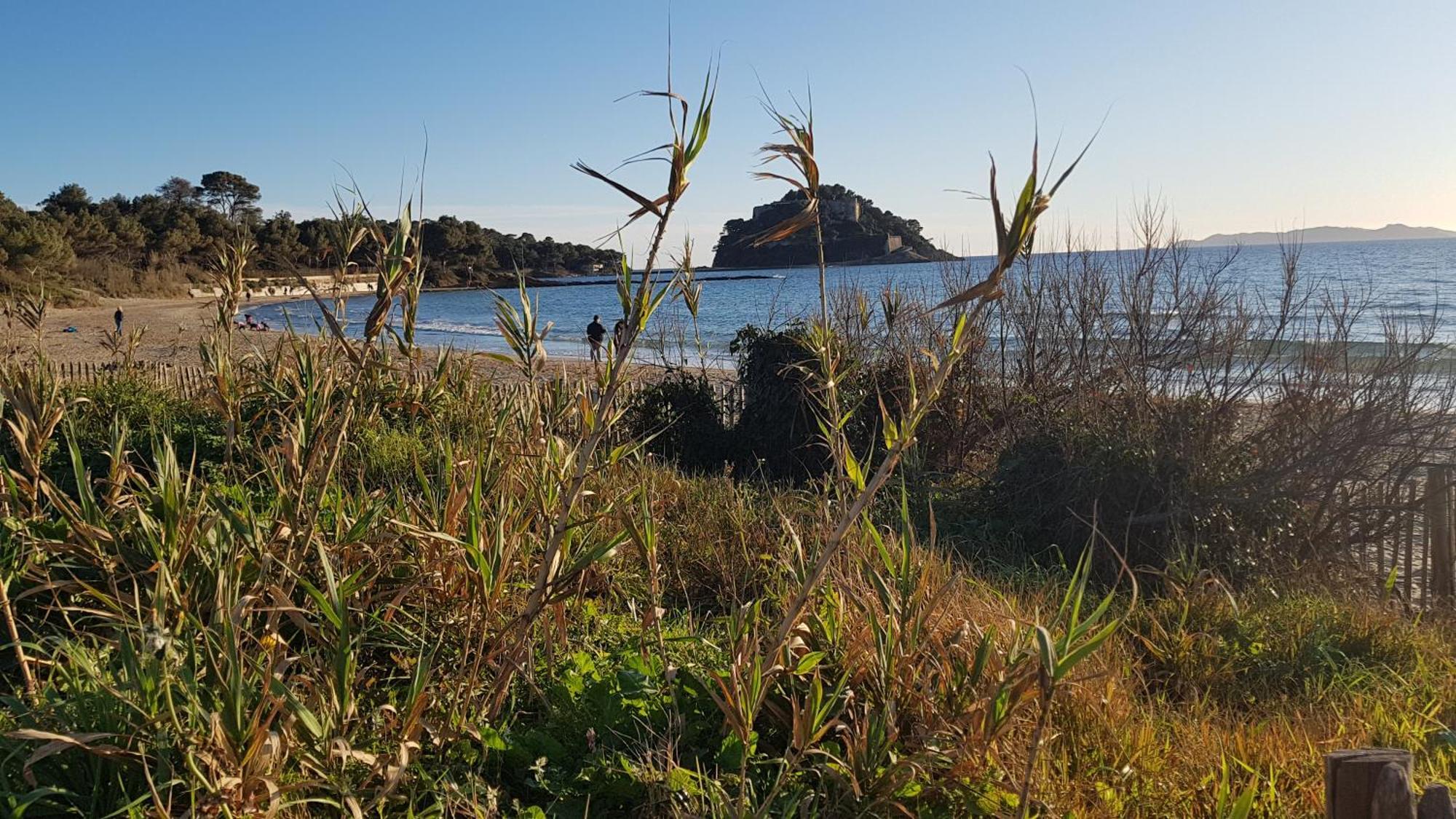 Apartamento Rez De Jardin T3 Recent Et Calme Au Nouvelles Terres A La Londe Les Maures Exterior foto