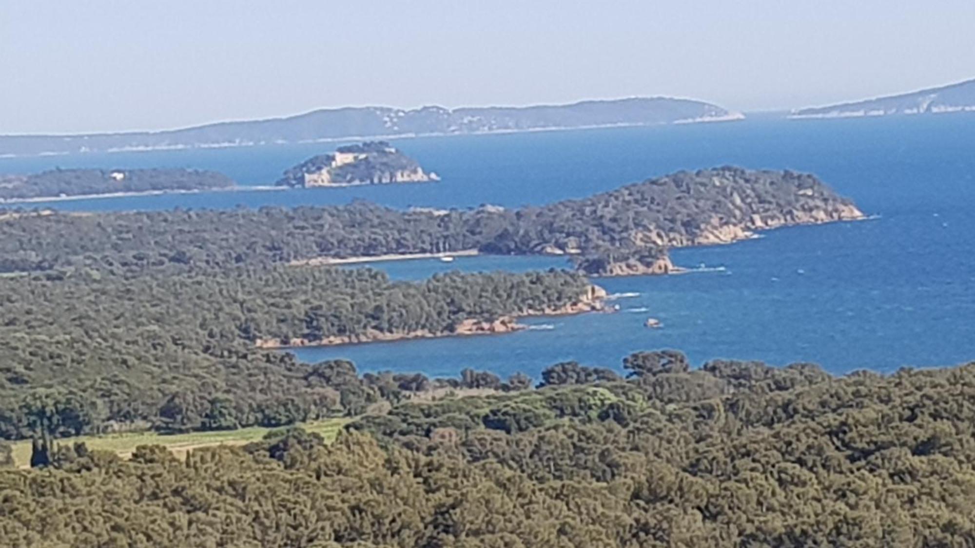 Apartamento Rez De Jardin T3 Recent Et Calme Au Nouvelles Terres A La Londe Les Maures Exterior foto
