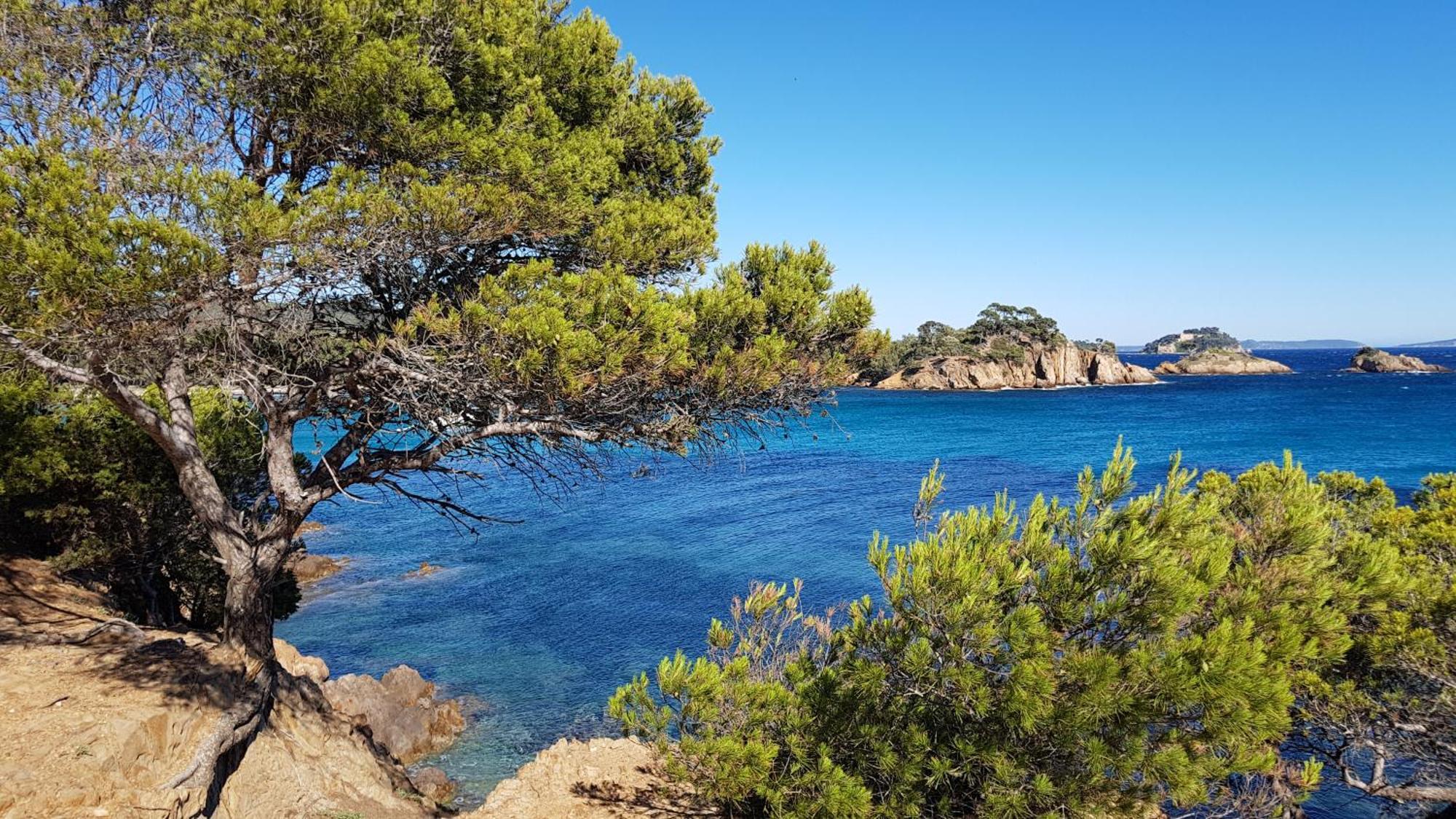 Apartamento Rez De Jardin T3 Recent Et Calme Au Nouvelles Terres A La Londe Les Maures Exterior foto