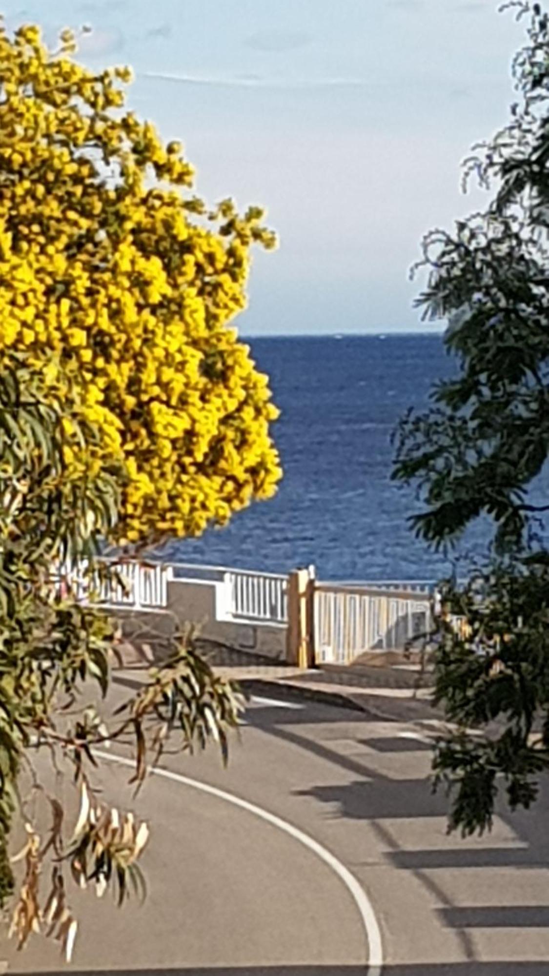 Apartamento Rez De Jardin T3 Recent Et Calme Au Nouvelles Terres A La Londe Les Maures Exterior foto