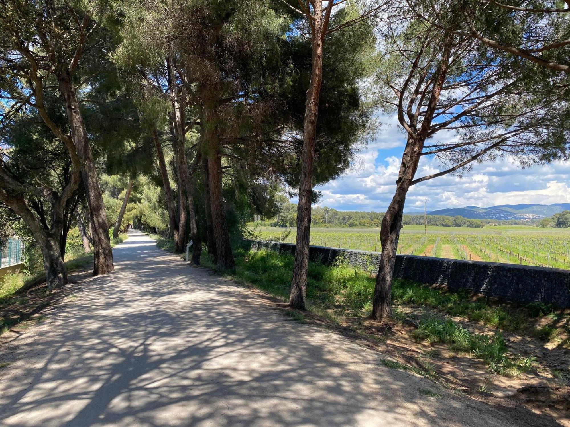 Apartamento Rez De Jardin T3 Recent Et Calme Au Nouvelles Terres A La Londe Les Maures Exterior foto